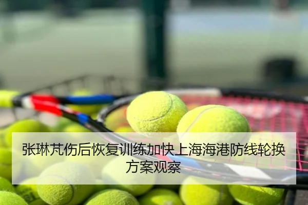 张琳芃伤后恢复训练加快上海海港防线轮换方案观察